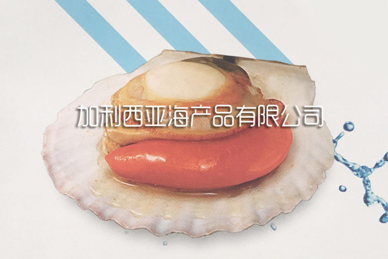 Scallop with half shell